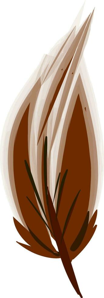 Brown feather painting vector or color illustration