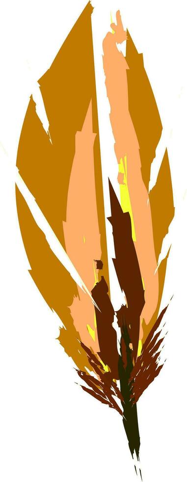 Brown color feather vector or color illustration