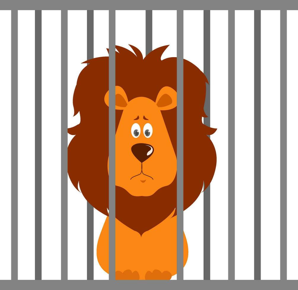 Lion in a zoo, illustration, vector on white background