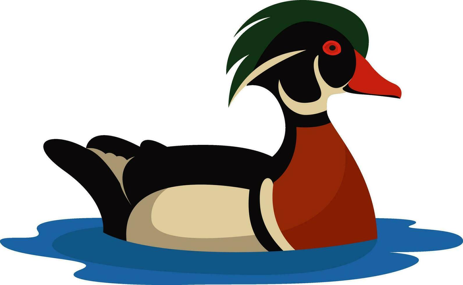 Duck in the water, illustration, vector on white background