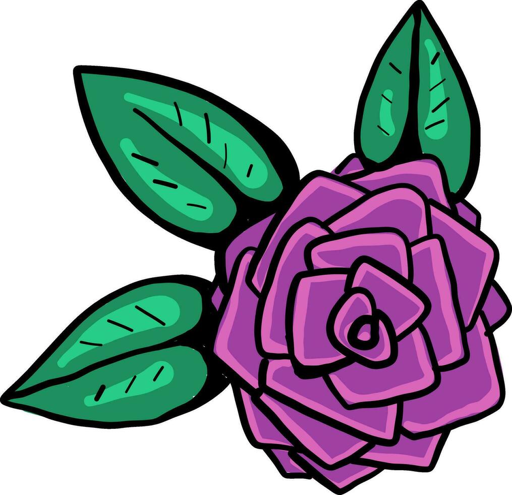 Violet rose, illustration, vector on white background