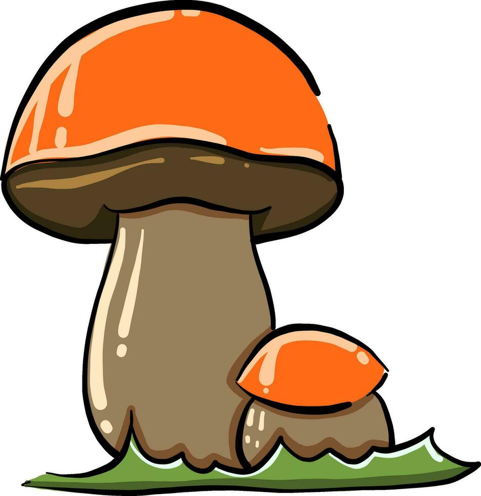 Two mushrooms, illustration, vector on white background