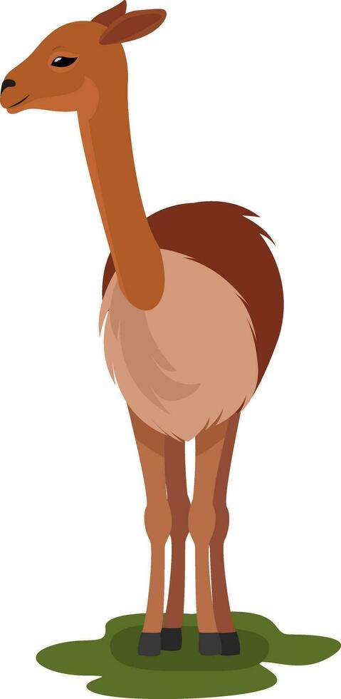 Brown vicuna, illustration, vector on white background
