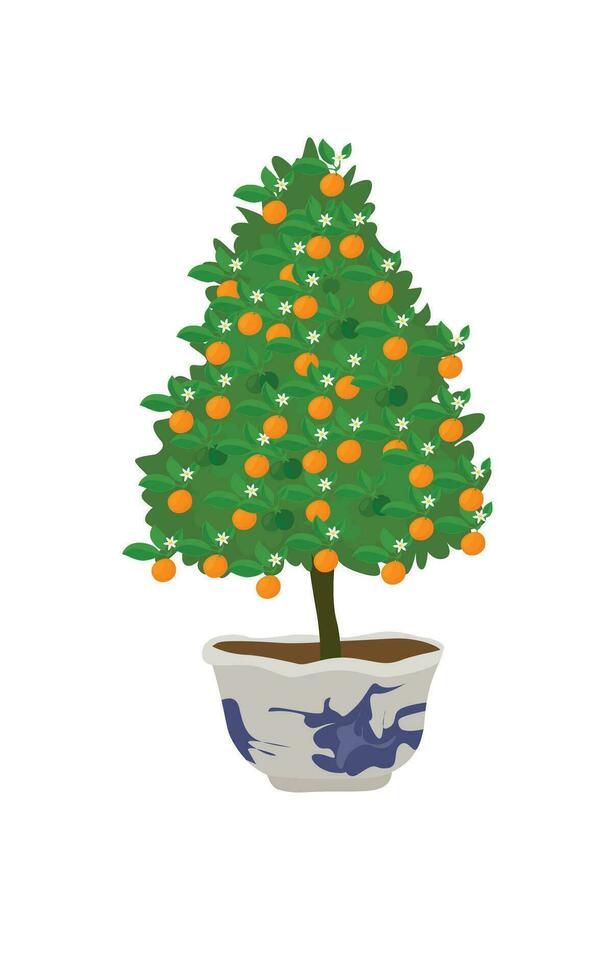 Kumquat tree vector illustration. Traditional tree in Vietnamese new year. Citrus microcarpa plant clip art. Flat vector in cartoon style isolated on white background.