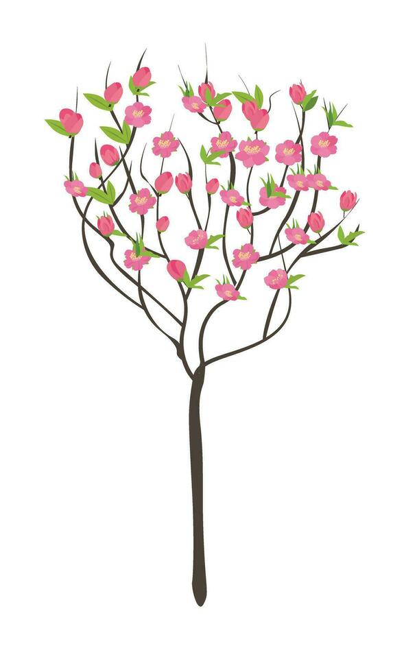 Cartoon peach blossom vector set with flower, leaf, bud, tree branch. Cherry blossom vector. Spring flower.Tet flower. Vietnam traditional new year flower, hoa dao. Flat vector in cartoon style.