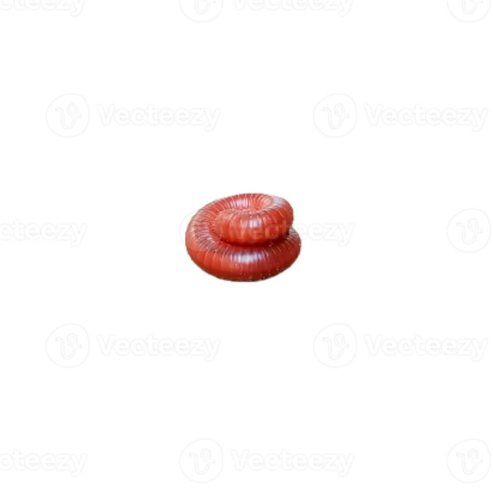 Millipede isolated on white background photo