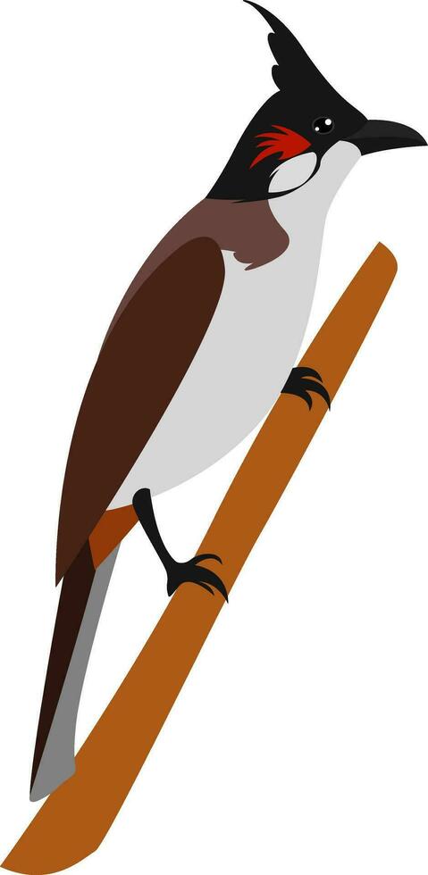 Small songbird, illustration, vector on white background