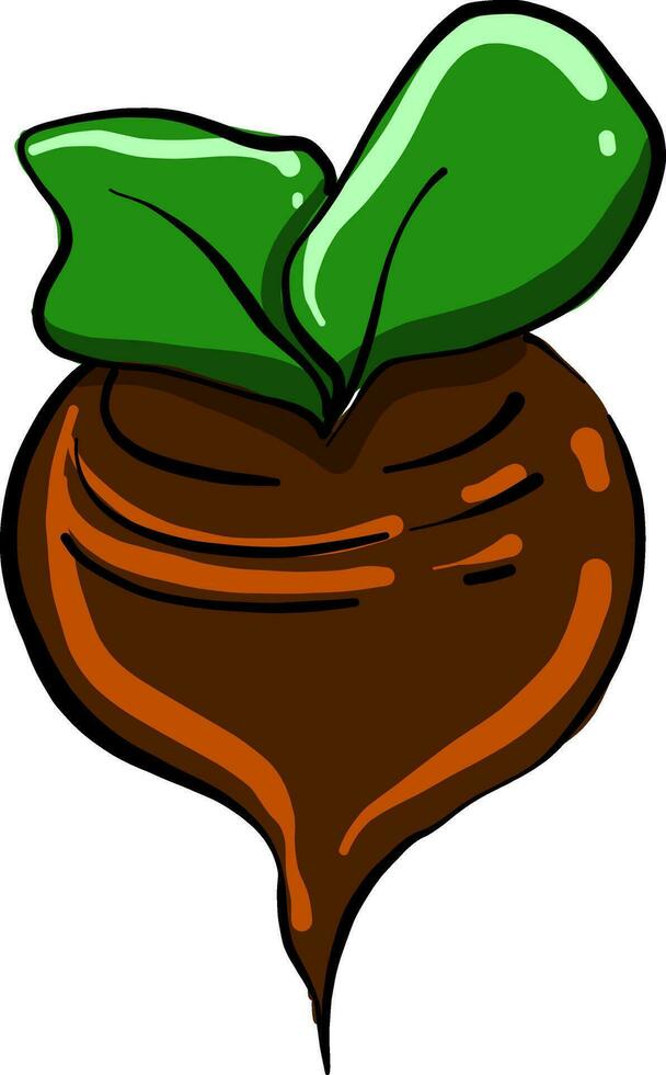 Small brown beet, illustration, vector on white background