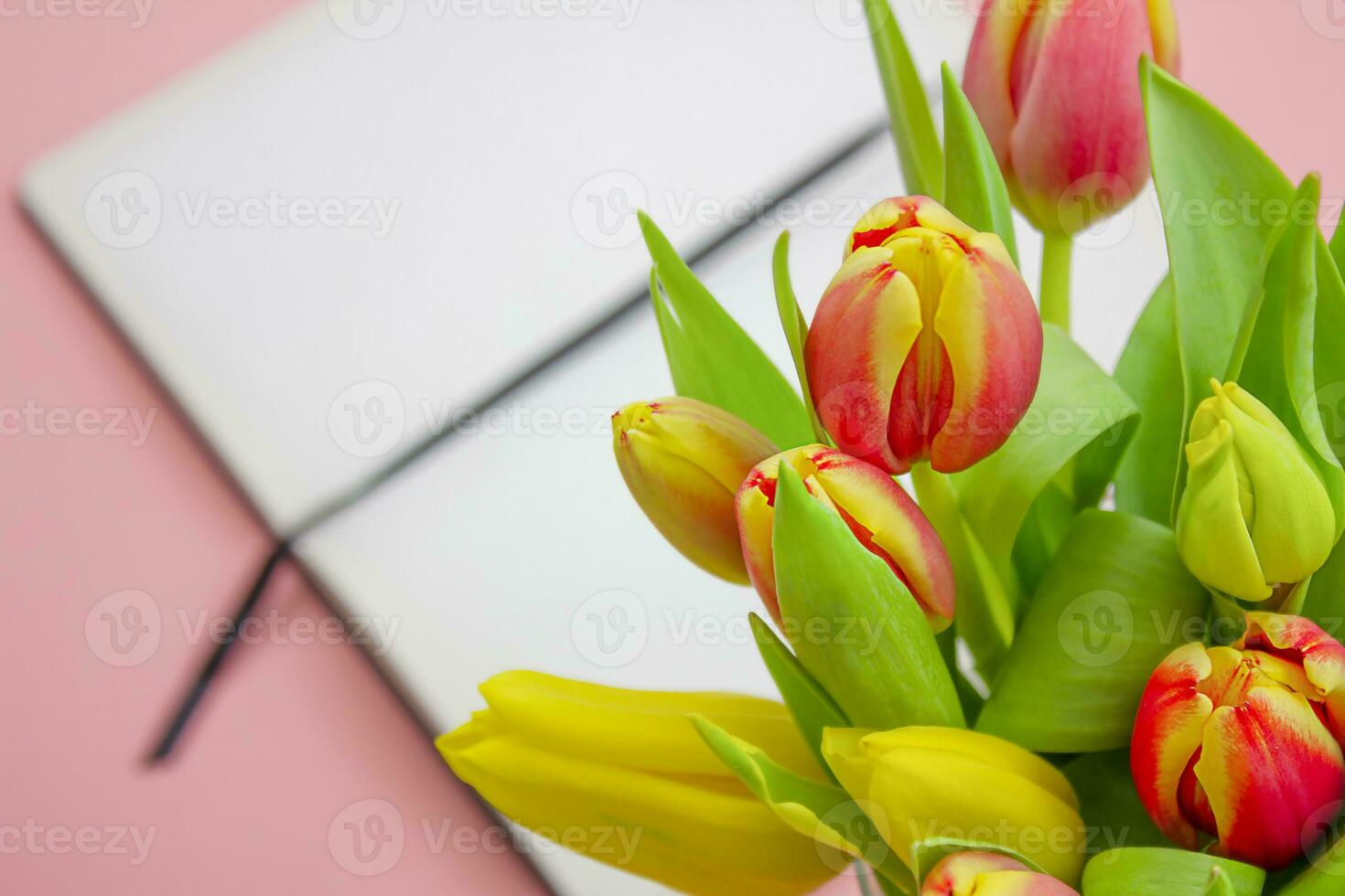 A bouquet of tulips on the background of an open notebook. Festive spring background. photo