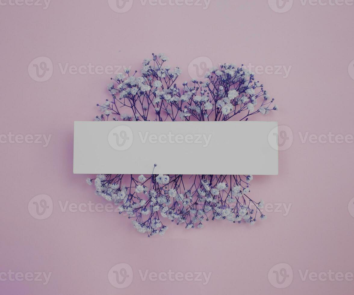 Spring background.and discounts. Gypsophila on a light blue background.. White frame with small white flowers. Frame for invitations, wedding or greeting cards or for your design. photo