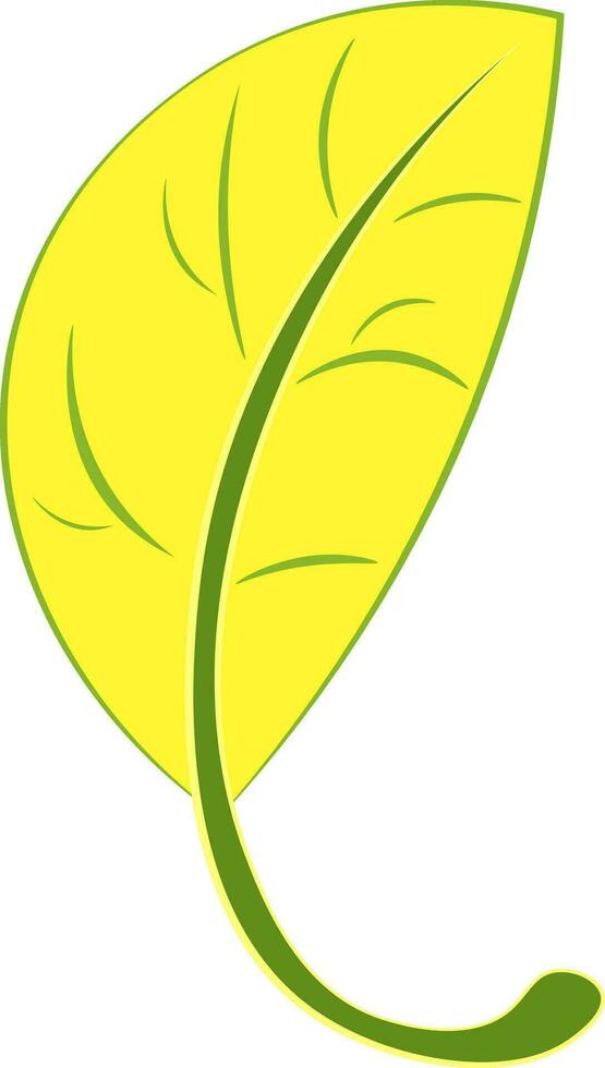 A beautiful yellow leaf with green veins and green margin running through vector color drawing or illustration