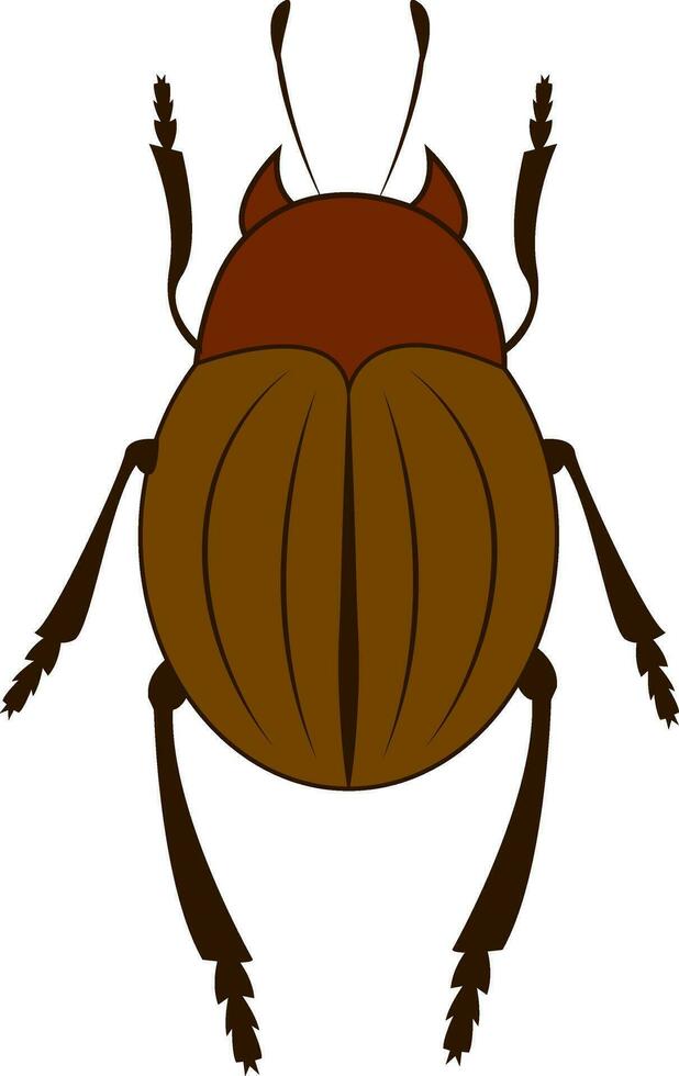 un marrón escarabajo con seis piernas vector o color ilustración