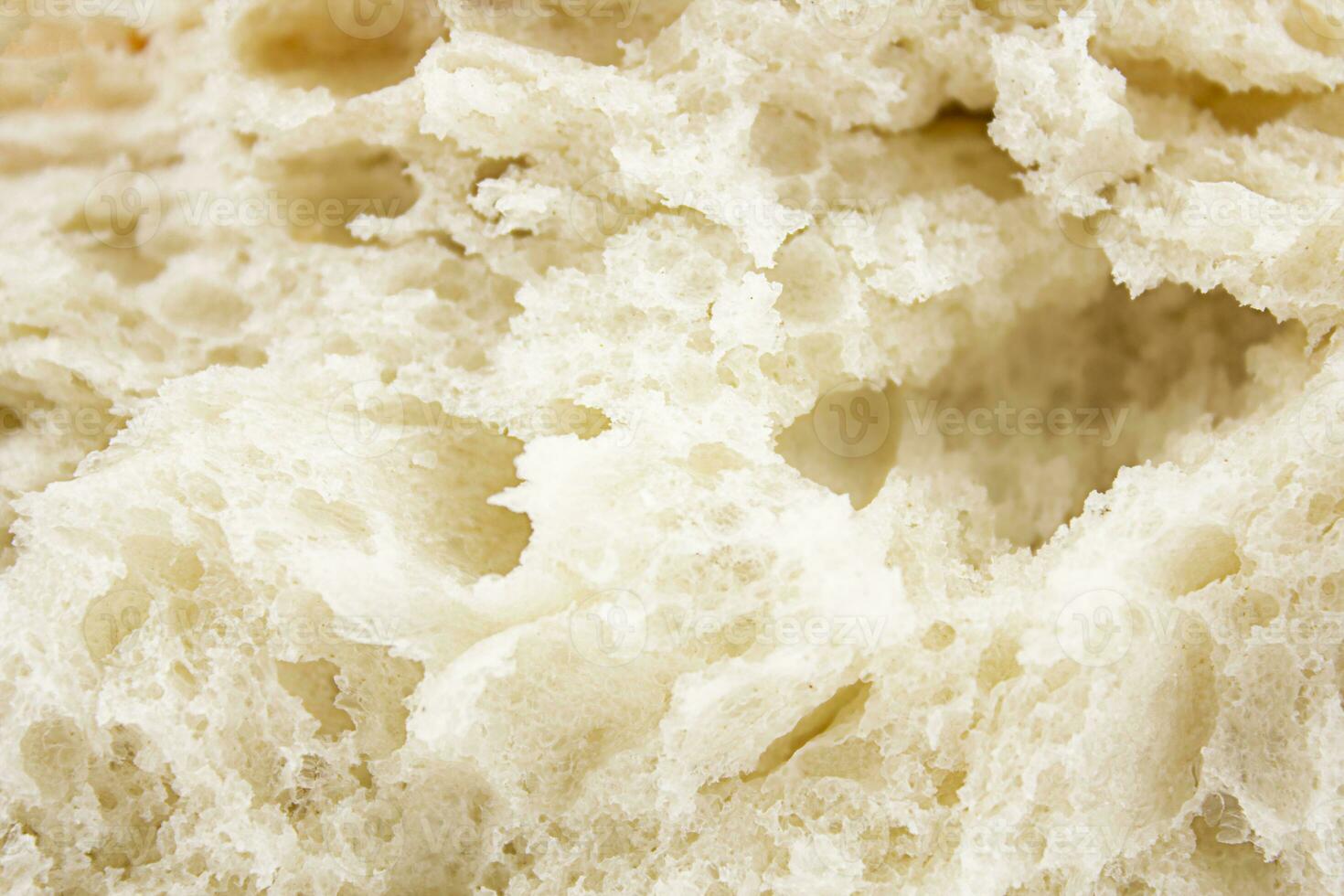 Bread pulp texture. Bread background. Macro texture. photo