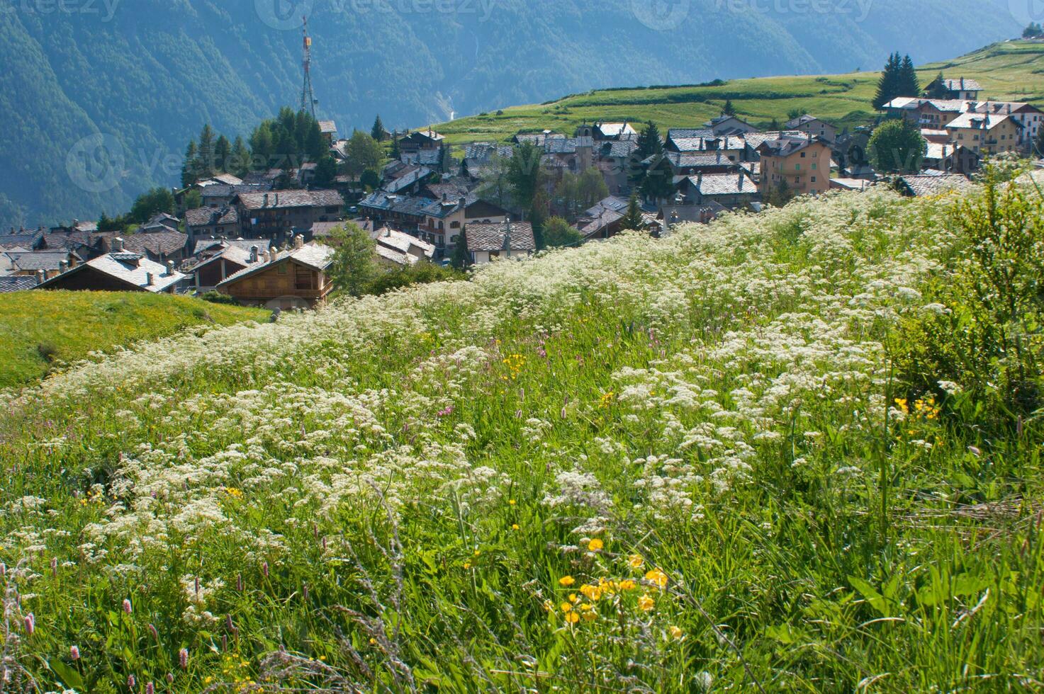 a mountain range in the background photo