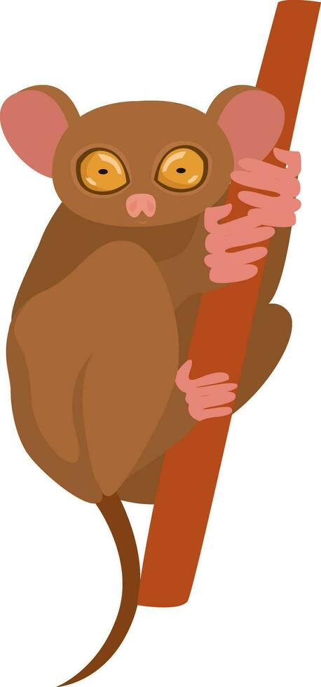 Brown tarsius, illustration, vector on white background