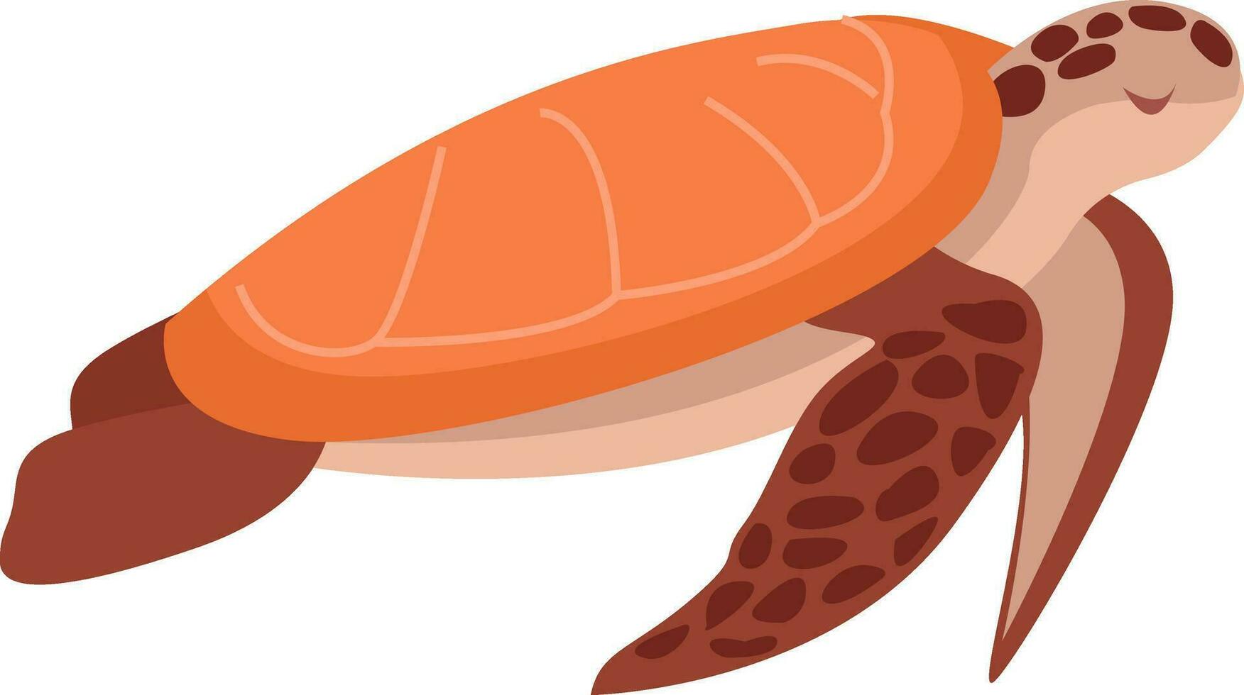 Sea turtle, illustration, vector on white background