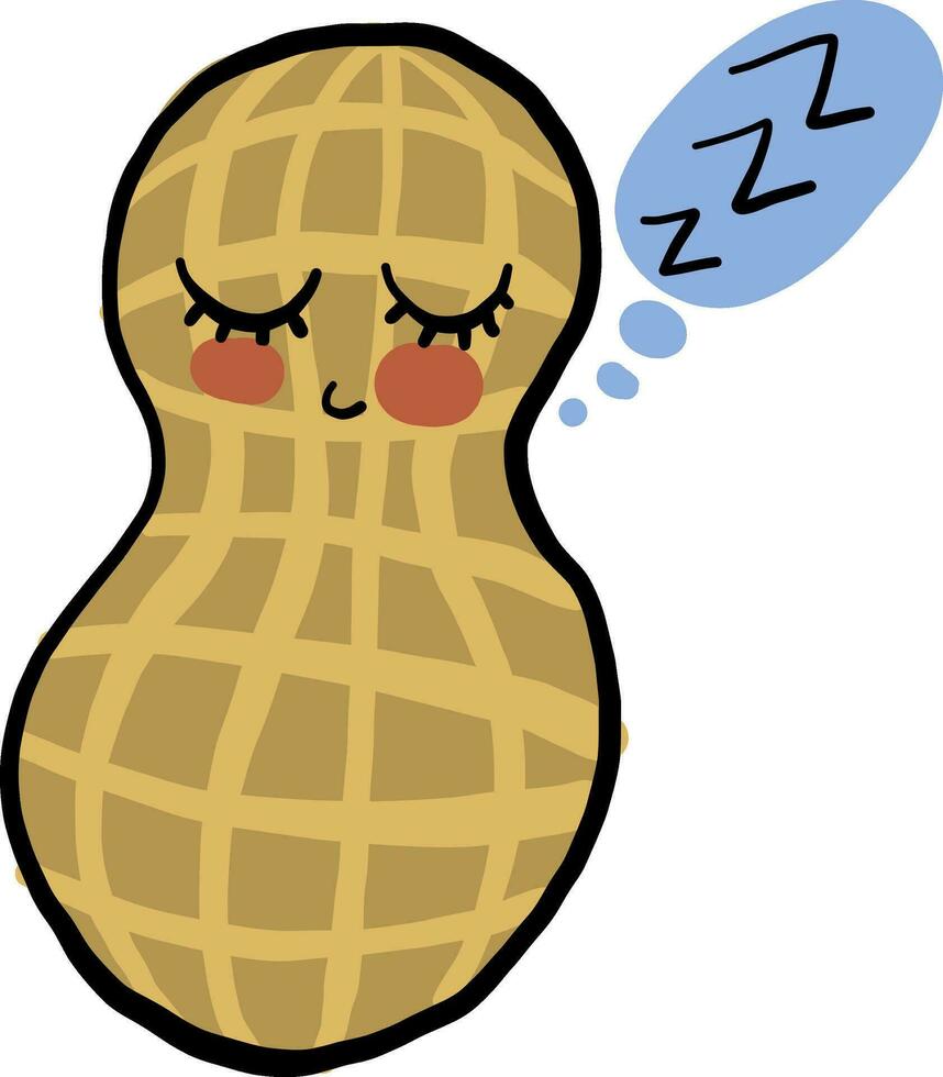 Sleeping peanut in a shell, illustration, vector on white background