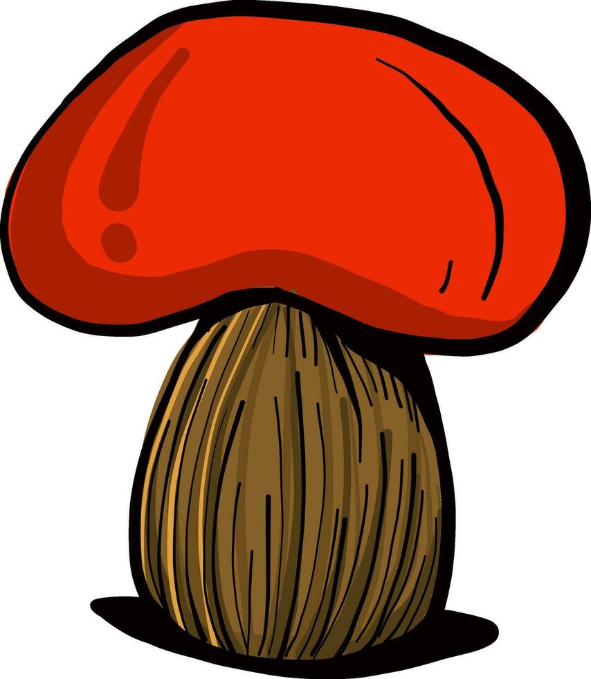 Red mushroom, illustration, vector on white background