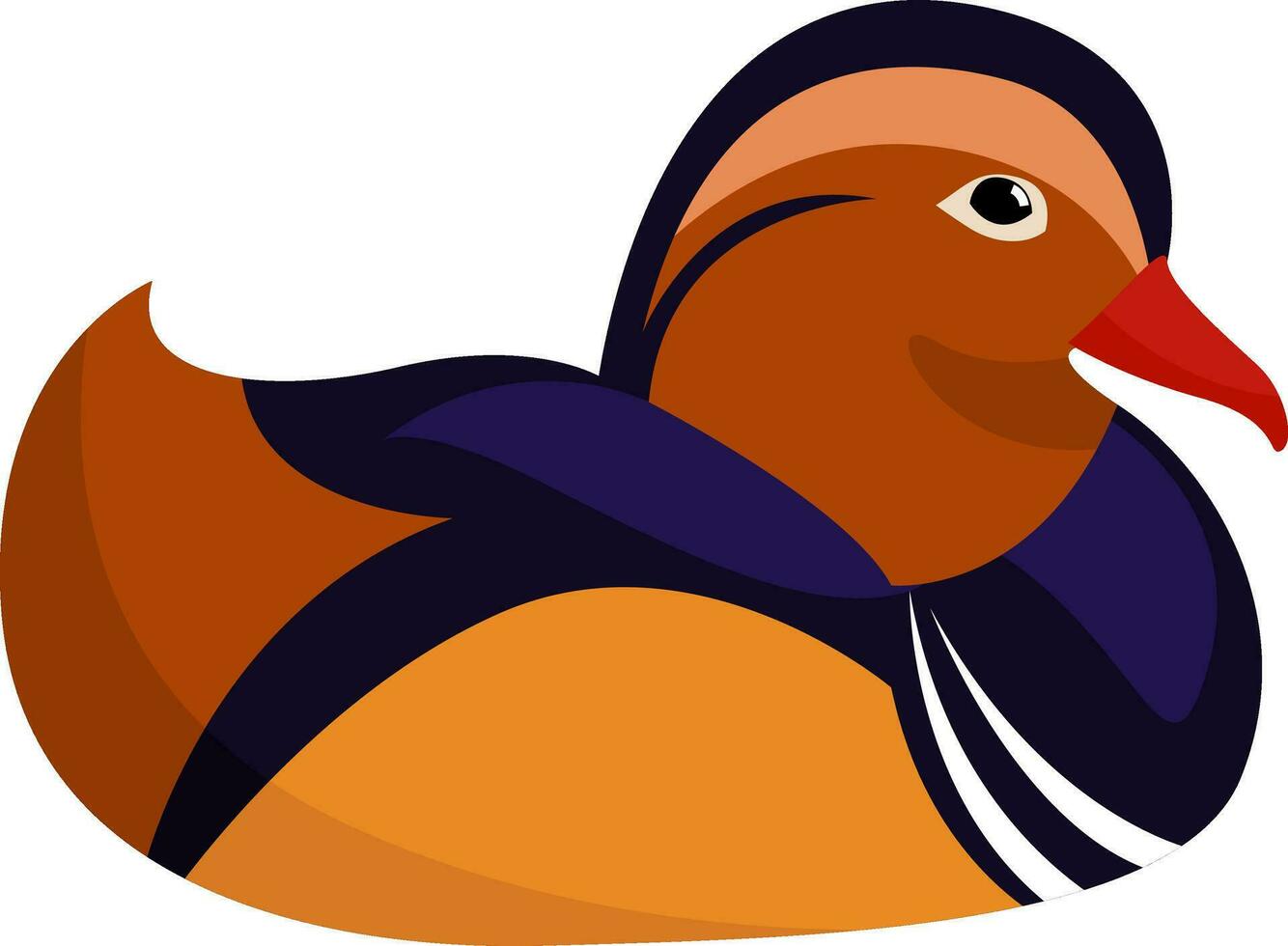 Mandarin duck, illustration, vector on white background