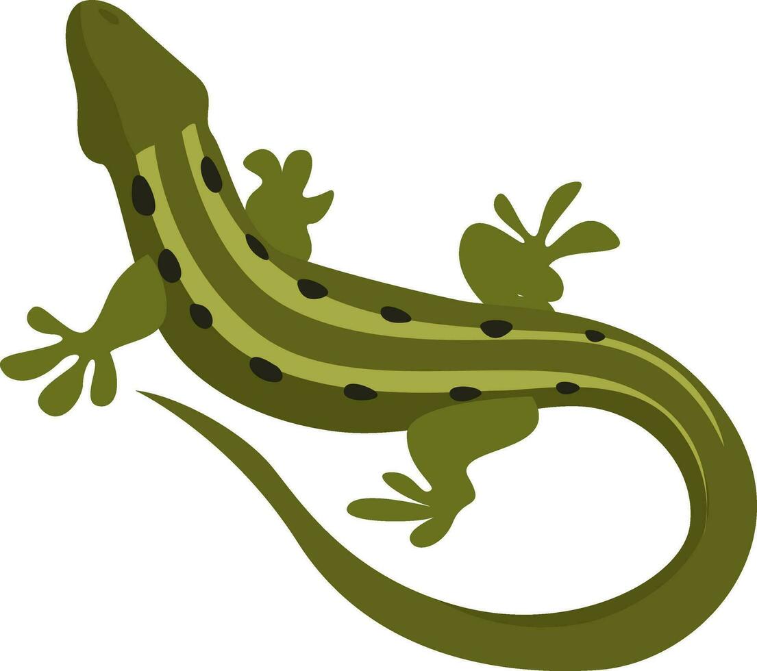 Lagarto verde, ilustración, vector sobre fondo blanco.