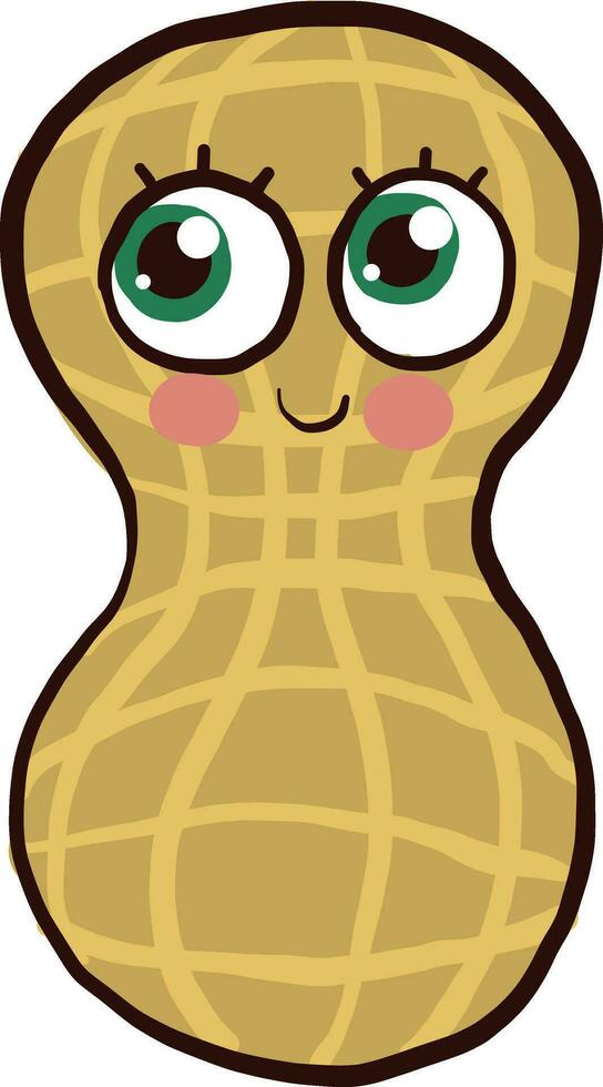 Peanut with big eyes, illustration, vector on white background