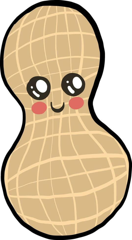 Cute peanut, illustration, vector on white background