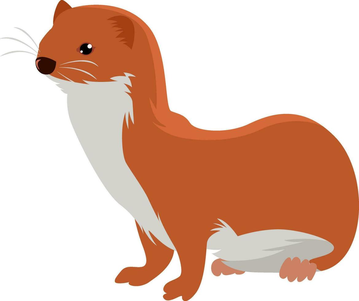 Little weasel, illustration, vector on white background