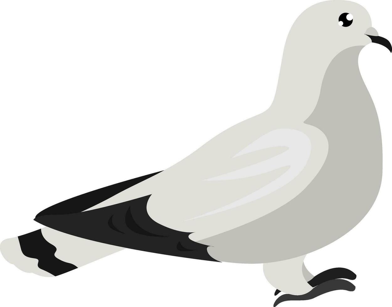 White pigeon, illustration, vector on white background
