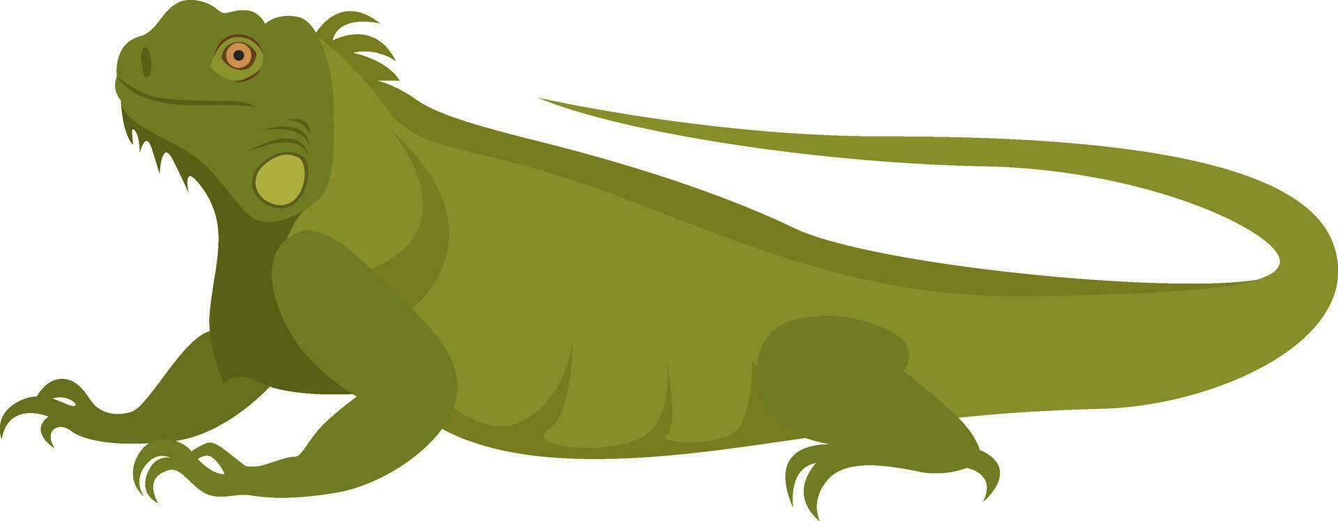 Green iguana, illustration, vector on white background