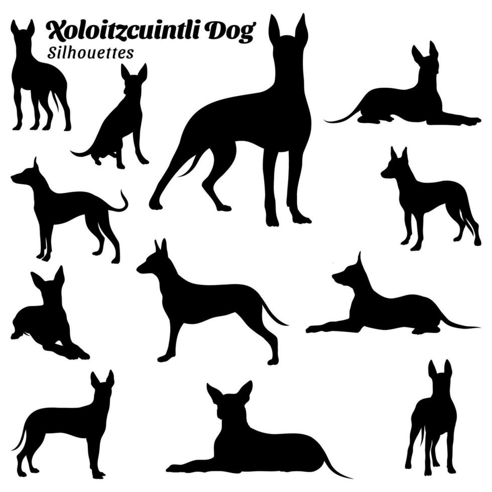 Collection of silhouette illustrations of xoloitzcuintli dog vector