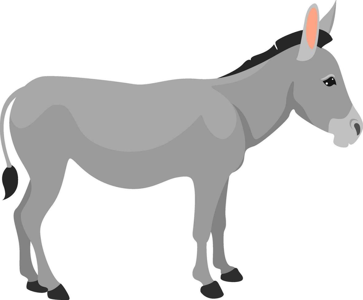 Grey donkey, illustration, vector on white background