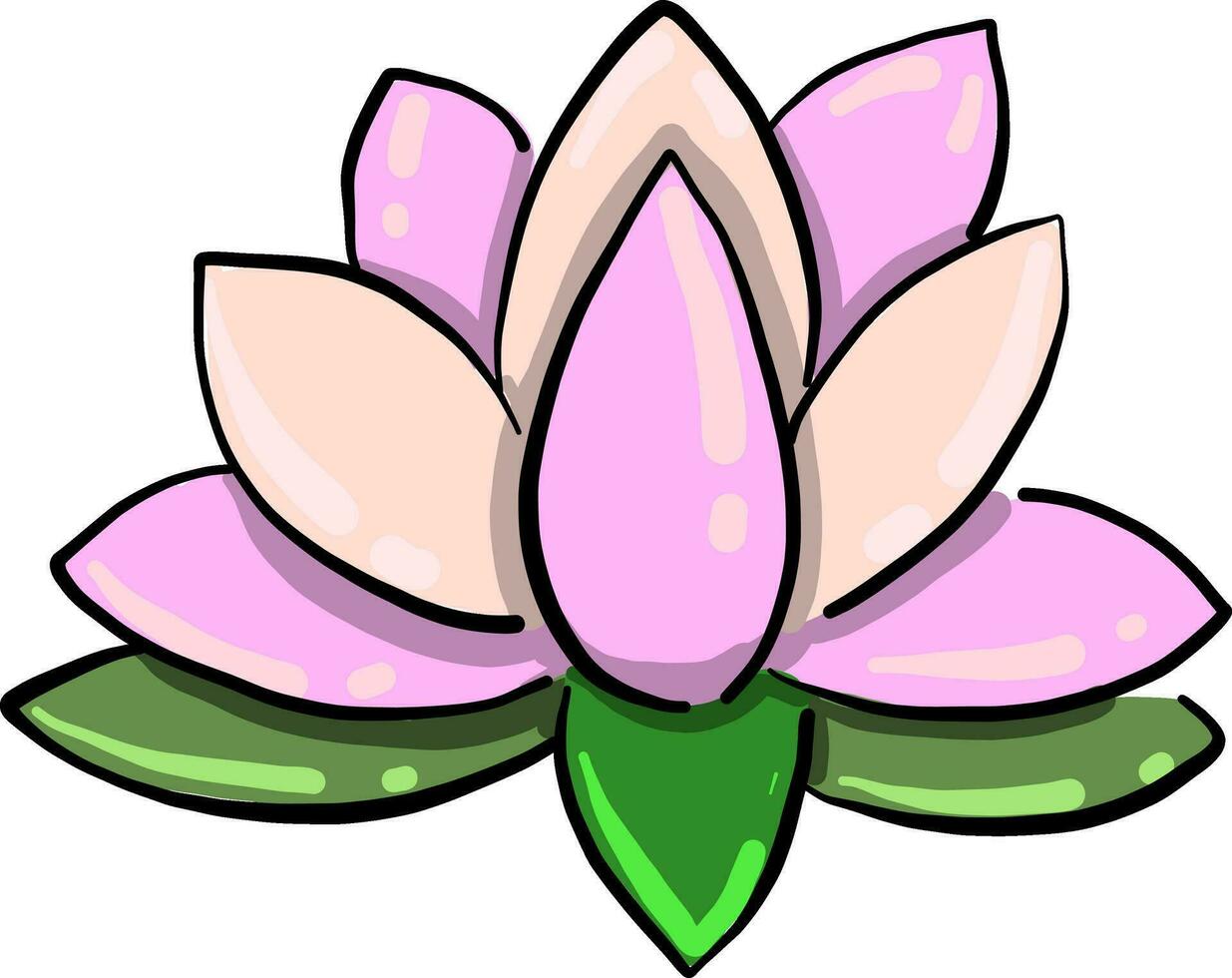 rosado loto, ilustración, vector en blanco antecedentes