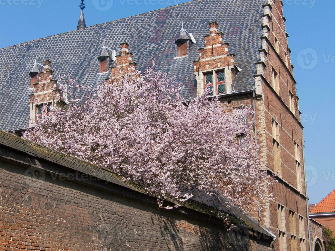 a building with a clock tower photo