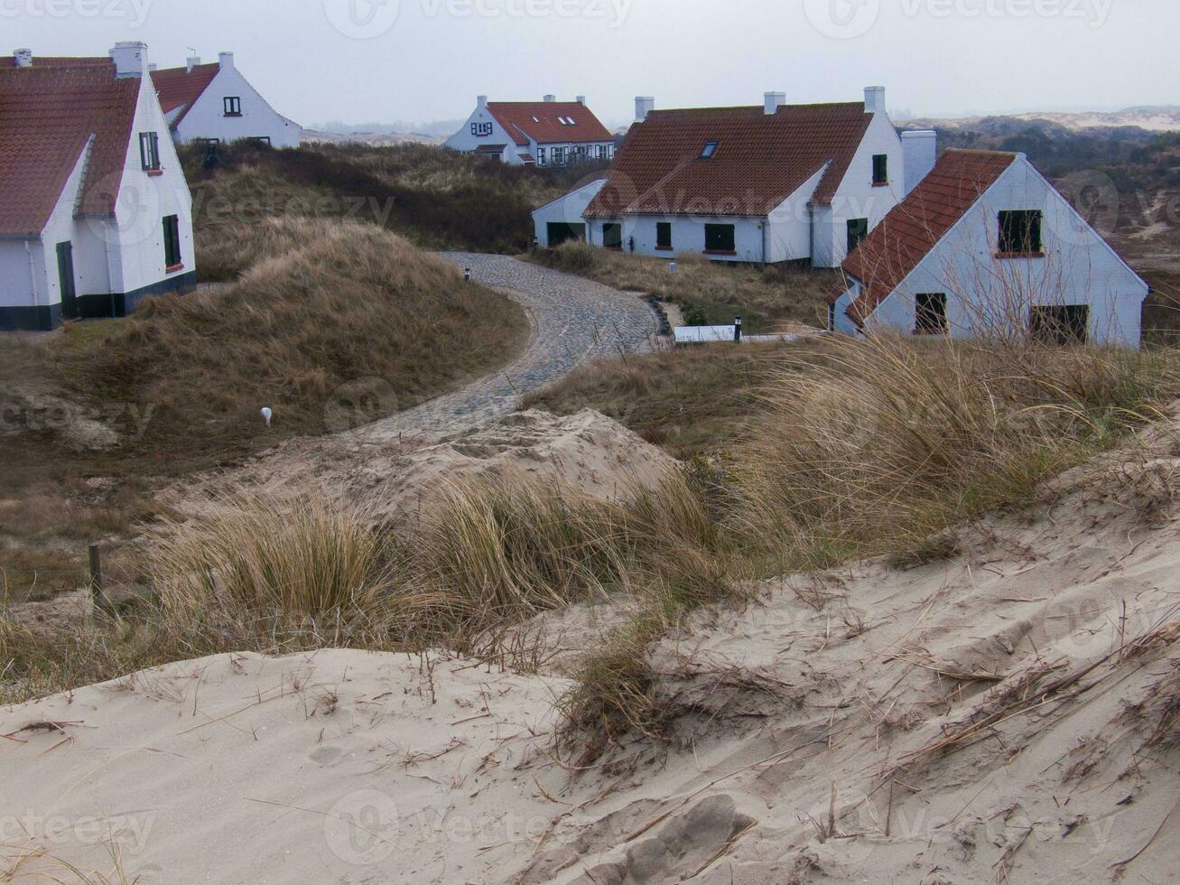 the houses are white photo