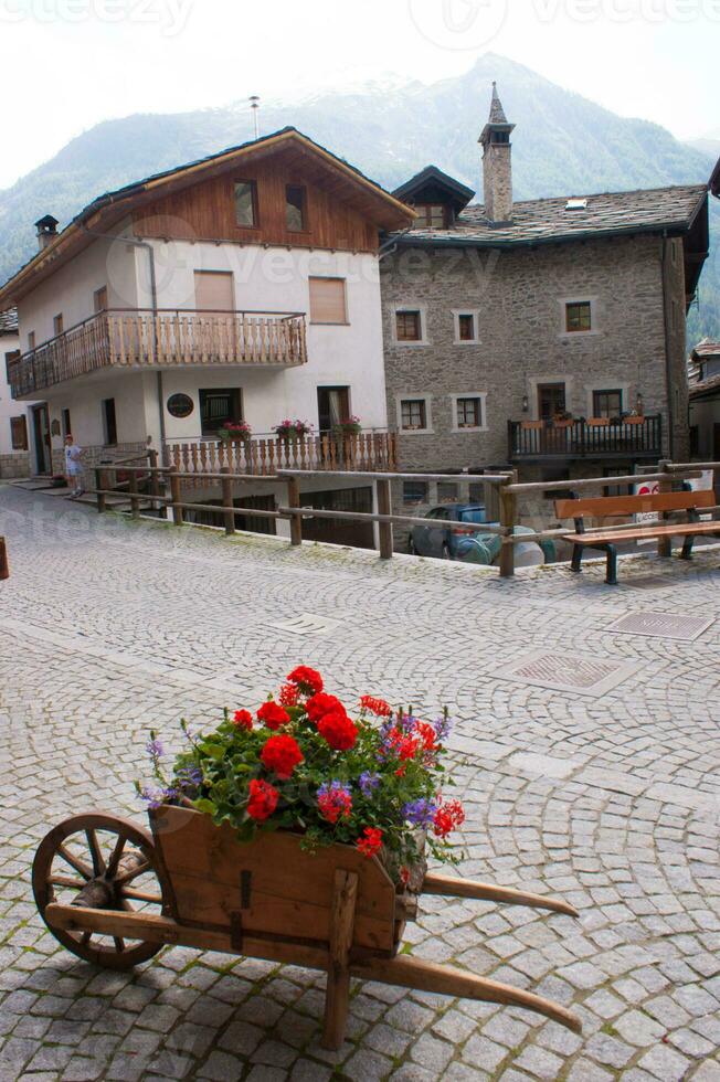 a wooden cart with flowers photo