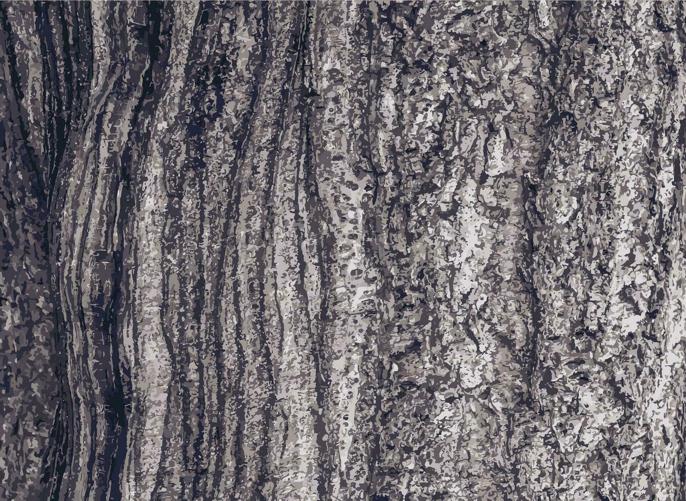 Vector illustration of Sakura or Prunus serrulata bark close-up. The texture of the trunk of Sakura. Background from living wood. Forest nature skin.