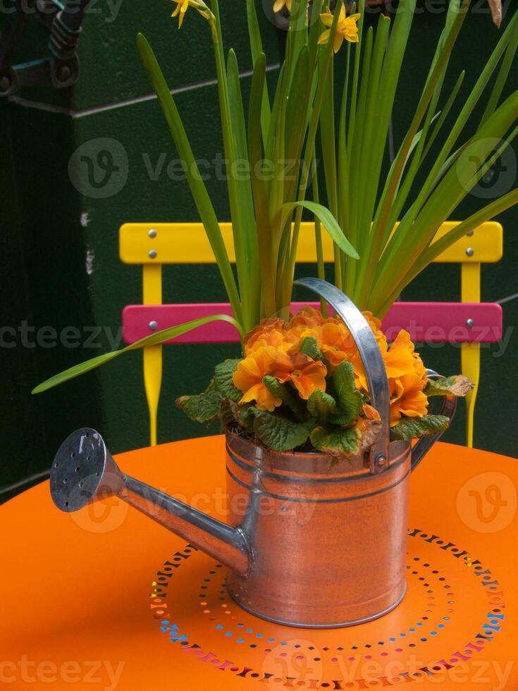 a watering can with flowers on a table photo