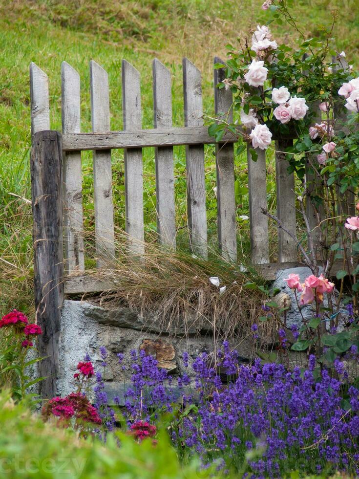 un de madera cerca con flores en frente de eso foto