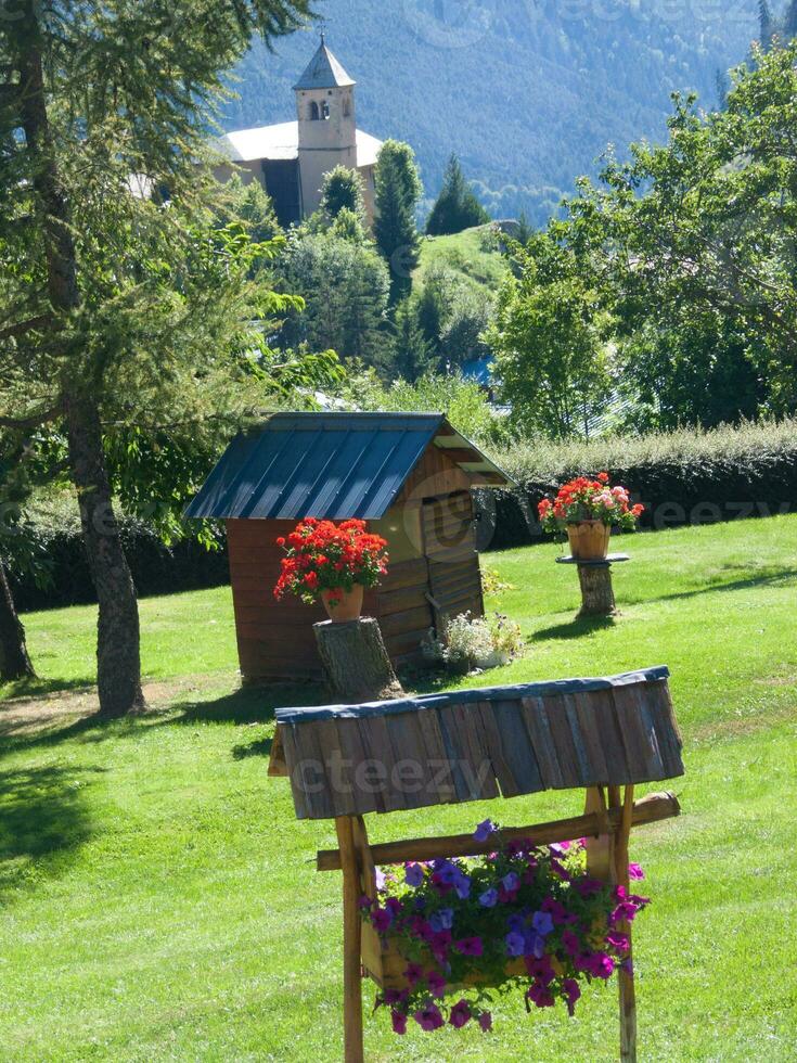 a wooden bench in the grass photo