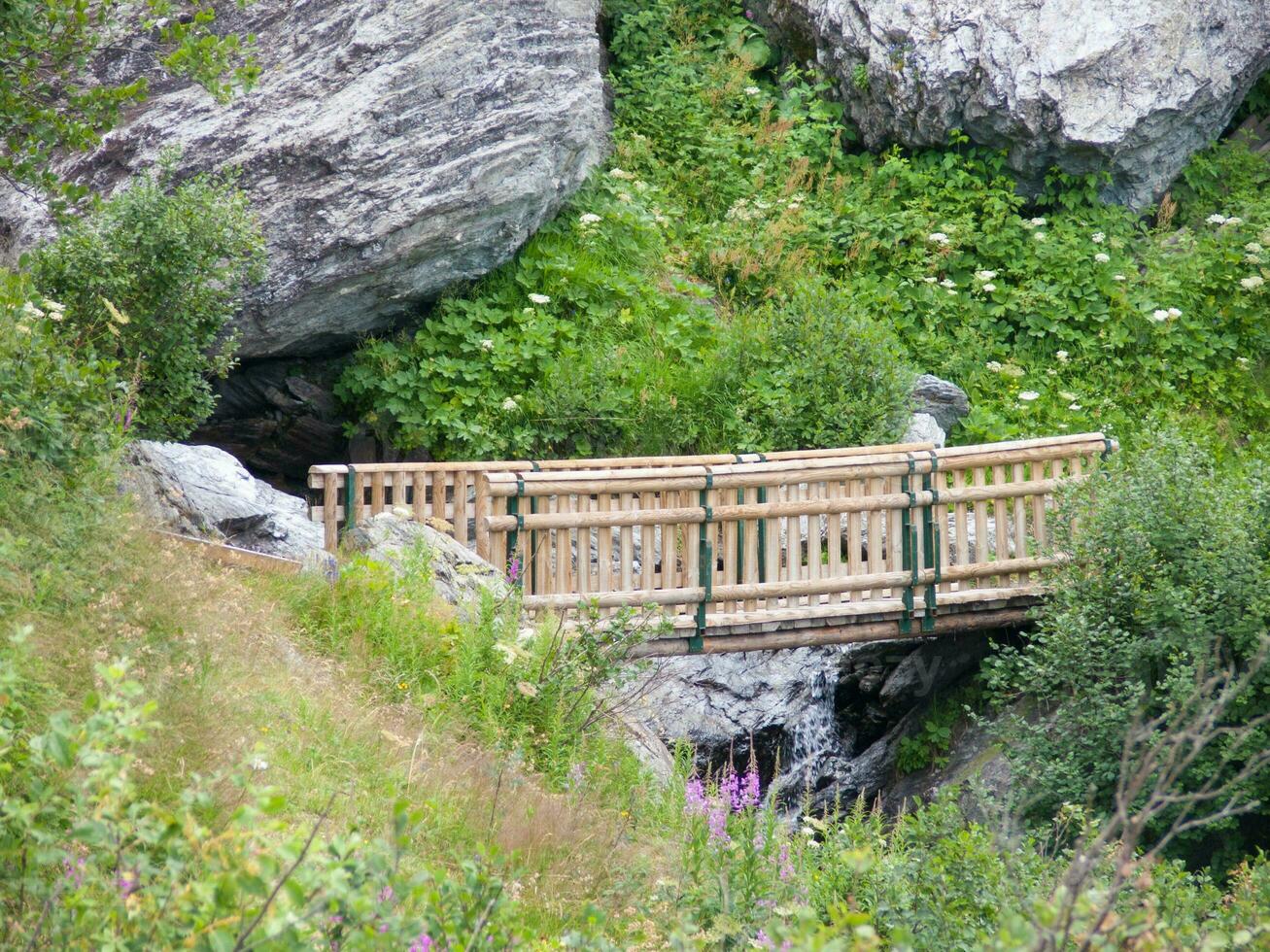 a bridge over a stream in a forest photo