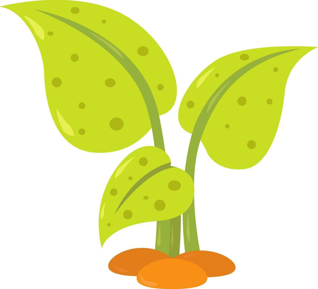 Green plant, illustration, vector on white background