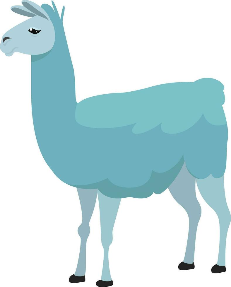 azul lama, ilustración, vector en blanco antecedentes