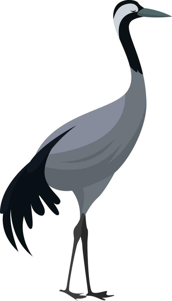 Eurasian crane, illustration, vector on white background