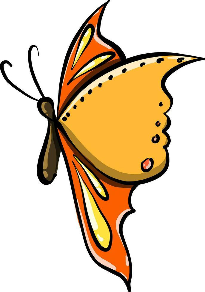 Butterfly with long wings, illustration, vector on white background