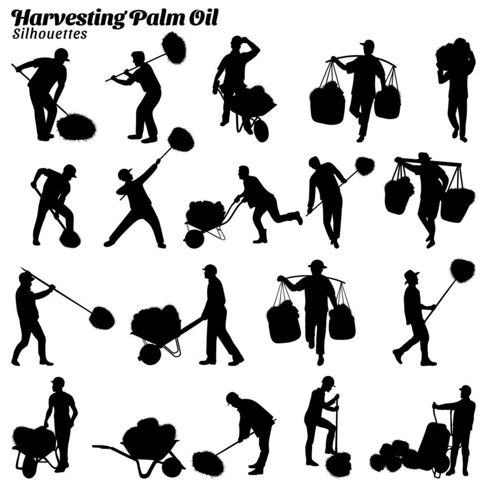 Collection of silhouette illustrations of harvesting palm oil fruit. vector