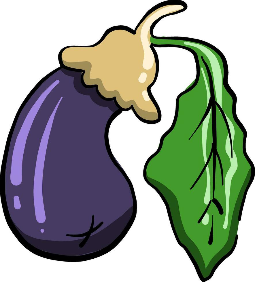 Eggplant with leaf, illustration, vector on white background