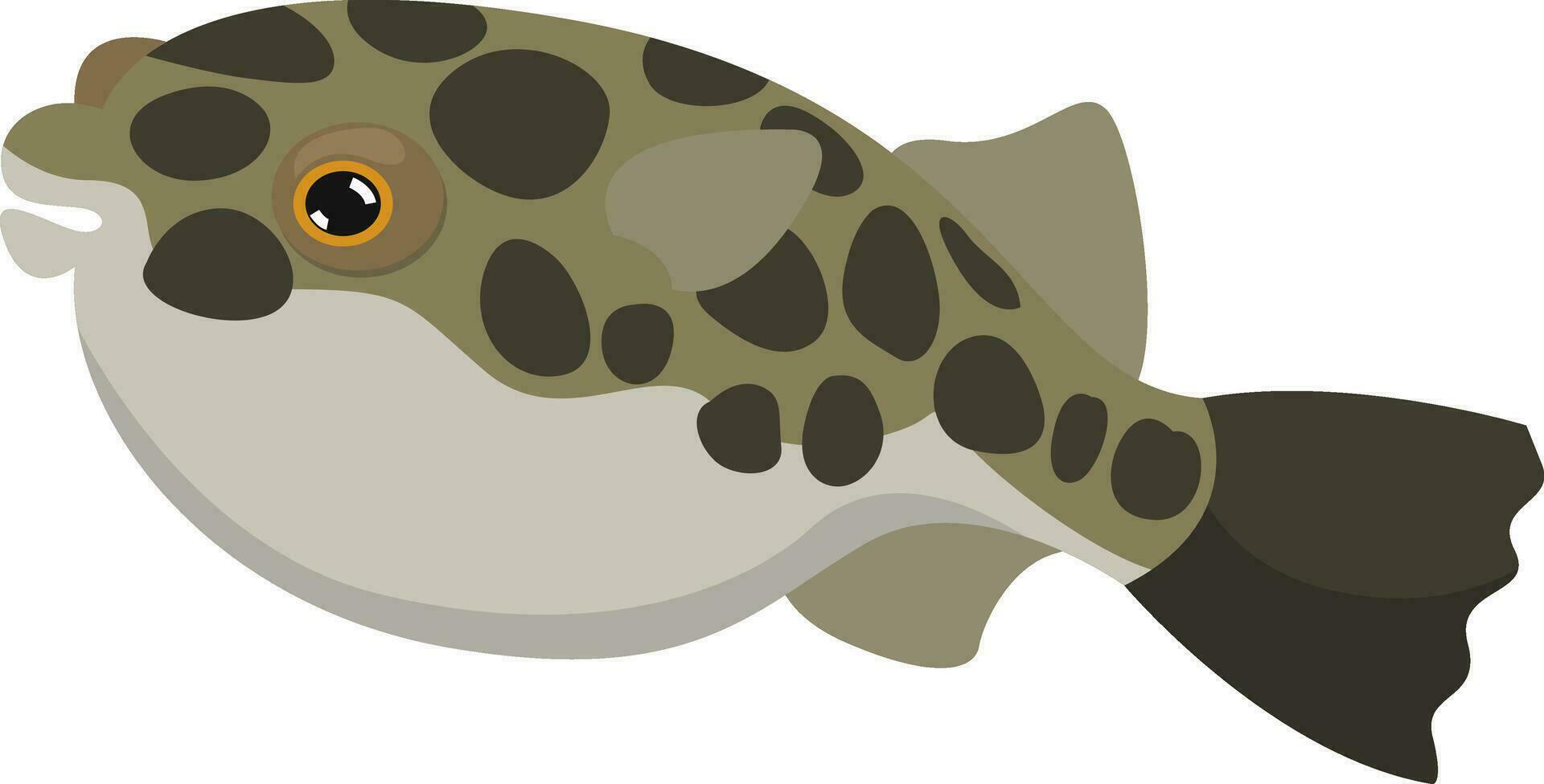 Fugu fish, illustration, vector on white background