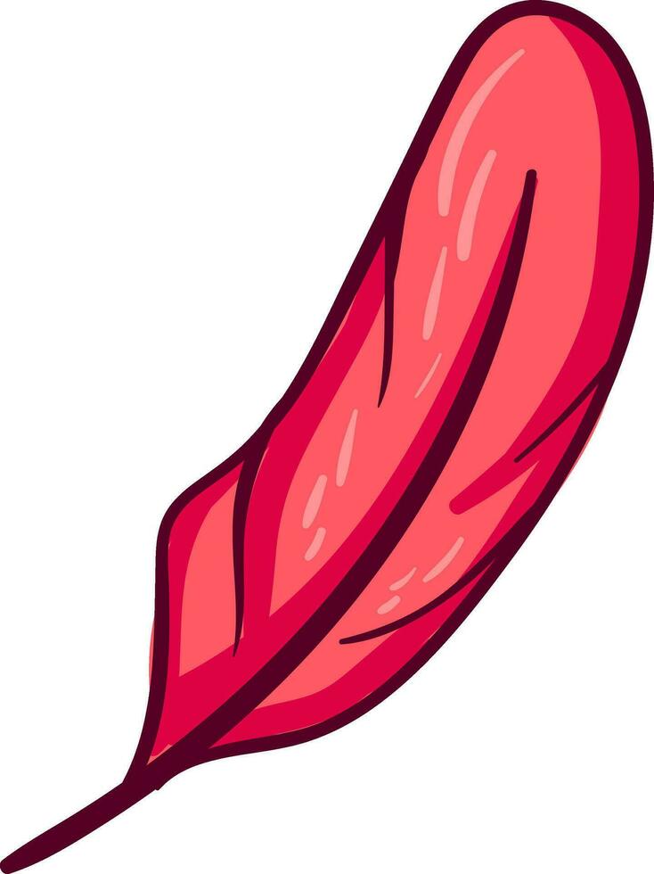 Red feather, illustration, vector on white background