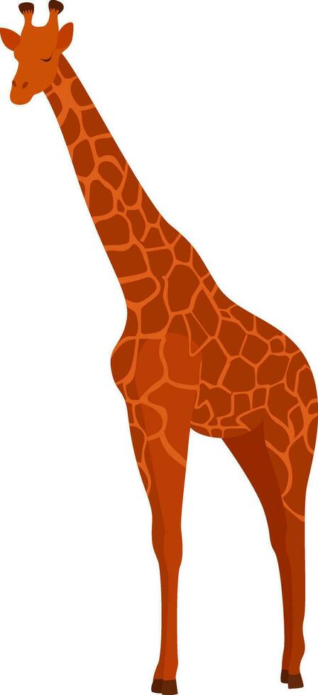 Tall giraffe, illustration, vector on white background