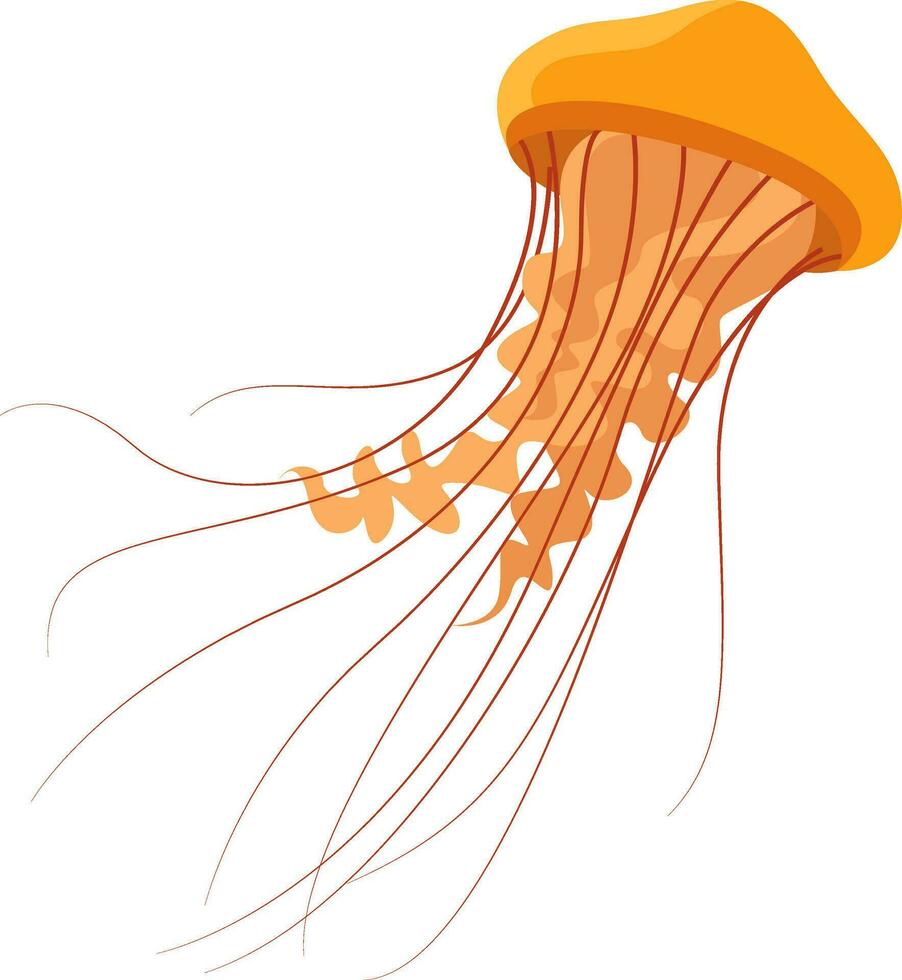 naranja Medusa, ilustración, vector en blanco antecedentes